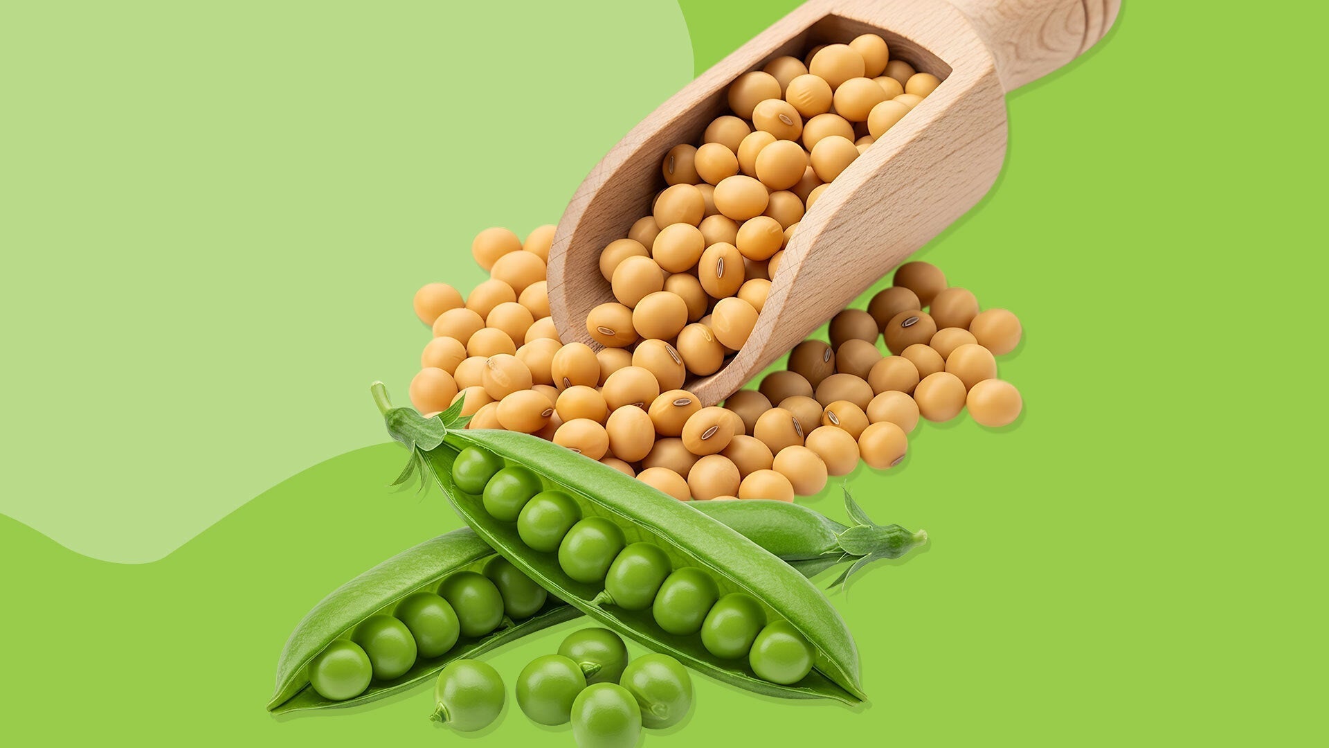 Plant-based proteins: All about our MVPs, pea and soy protein